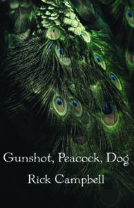 Gunshot, Peacock, Dog, by Rick Campbell. Cover features a peacock's wing with white text